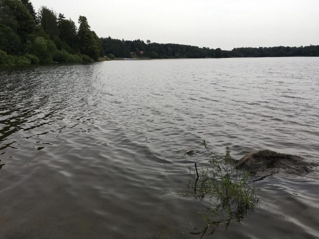 Seč 2